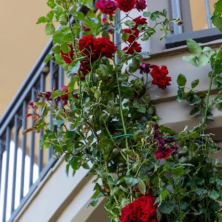 Kleio Apartment Apartament
